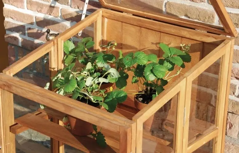 Maak van de moestuin een succes met onze 15 handige moestuinhulpjes!