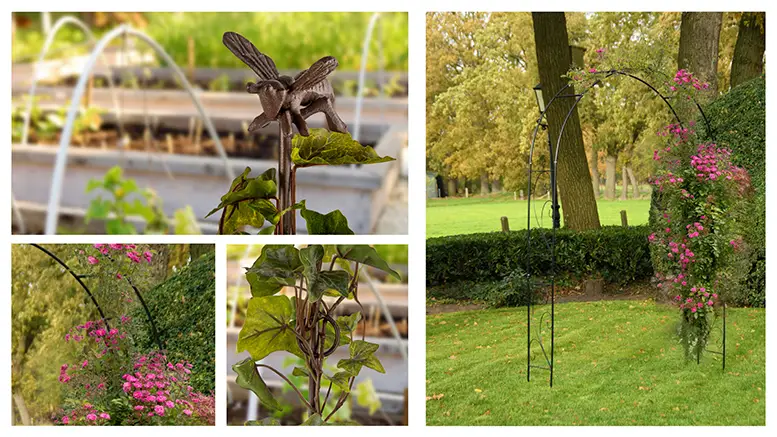 Een helpende hand voor de plant: plantensteunen