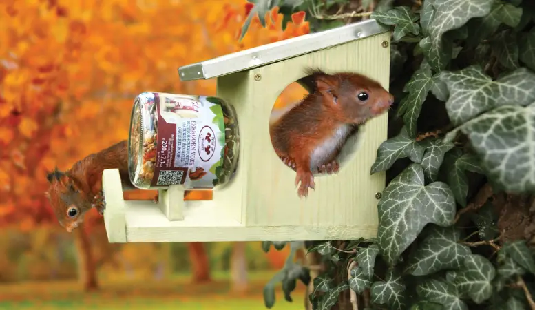 Zo lok je eekhoorns naar de tuin